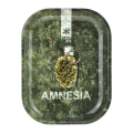 Tacka metalowa POL  Amnesia 18 x 14 cm.png