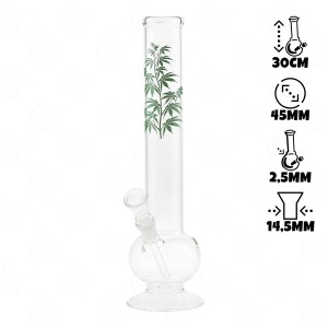 Bang en verre Plante verte 30 cm