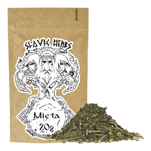 slavic herbs MIĘTA 2.png
