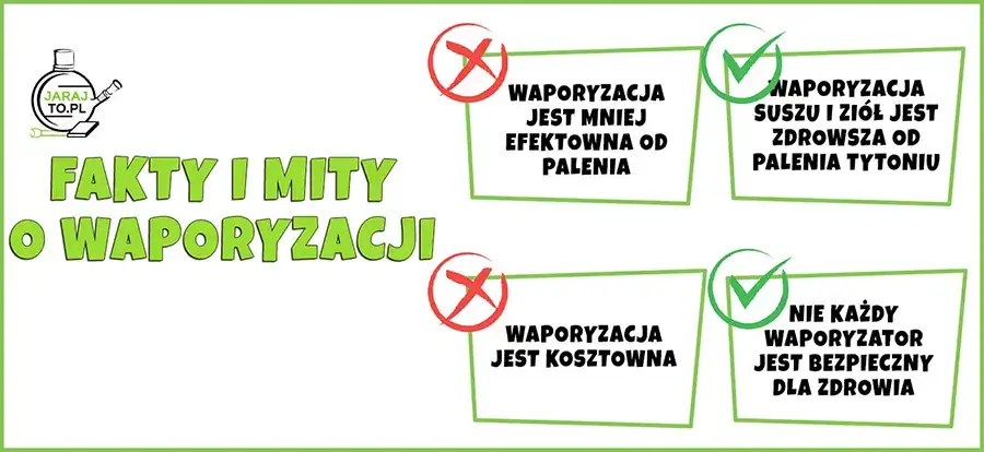 Infografika podsumowująca najważniejsze fakty dotyczące wapowania.