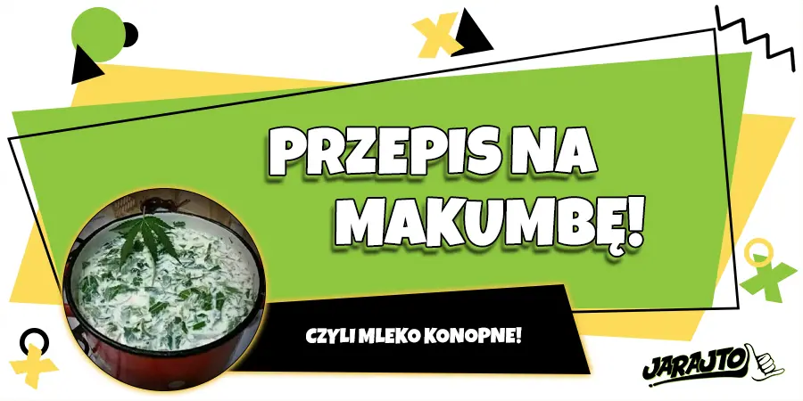 Przepis na makumbę, czyli mleko konopne!